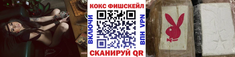 MEGA ONION  как найти   Белебей  Cocaine VHQ 