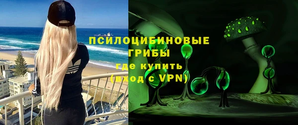 гашик Алзамай
