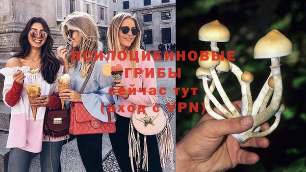героин Алексин
